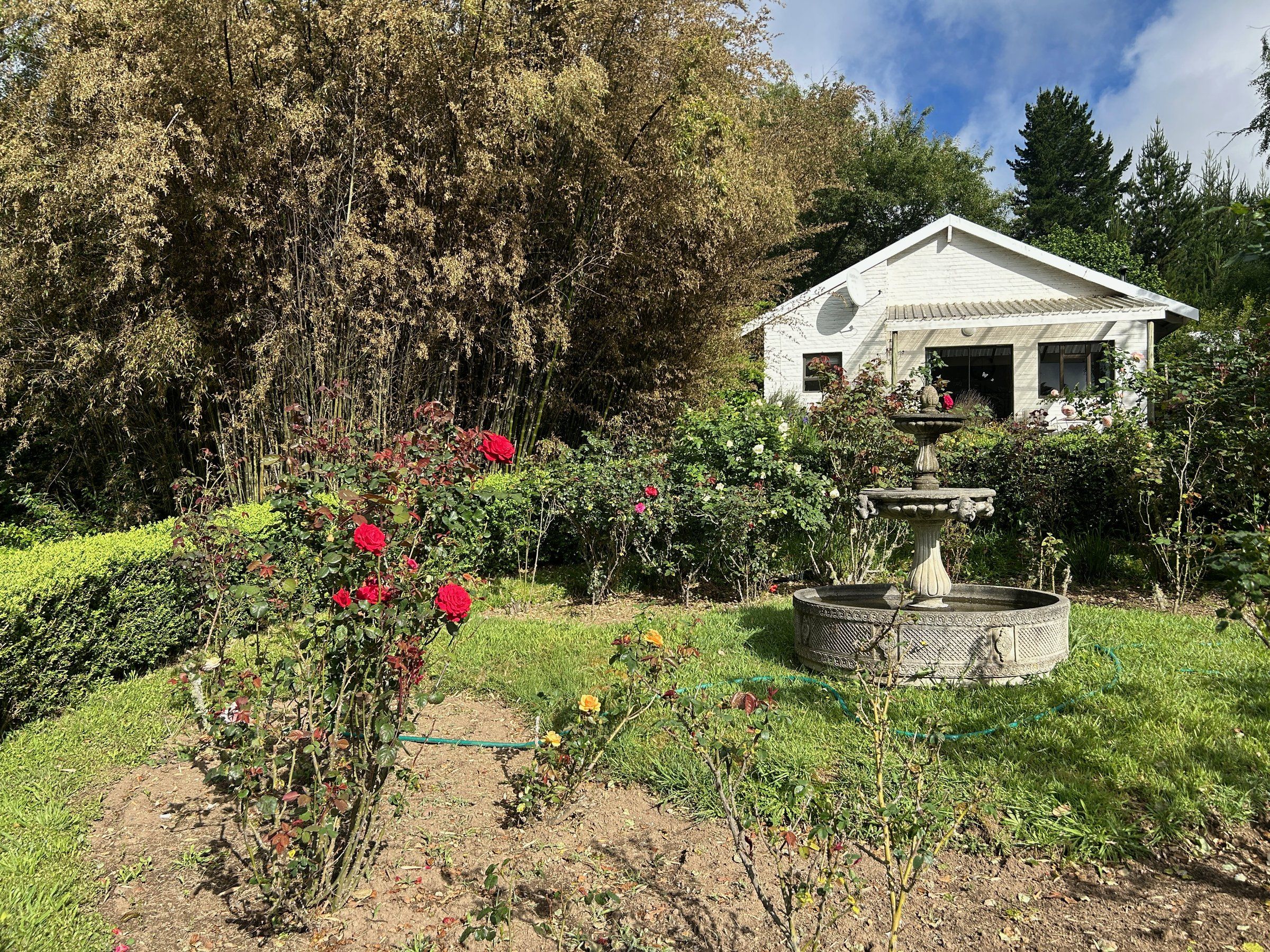 The Bird House behind a bed of red roses and a stone fountain, with bamboo beside it
