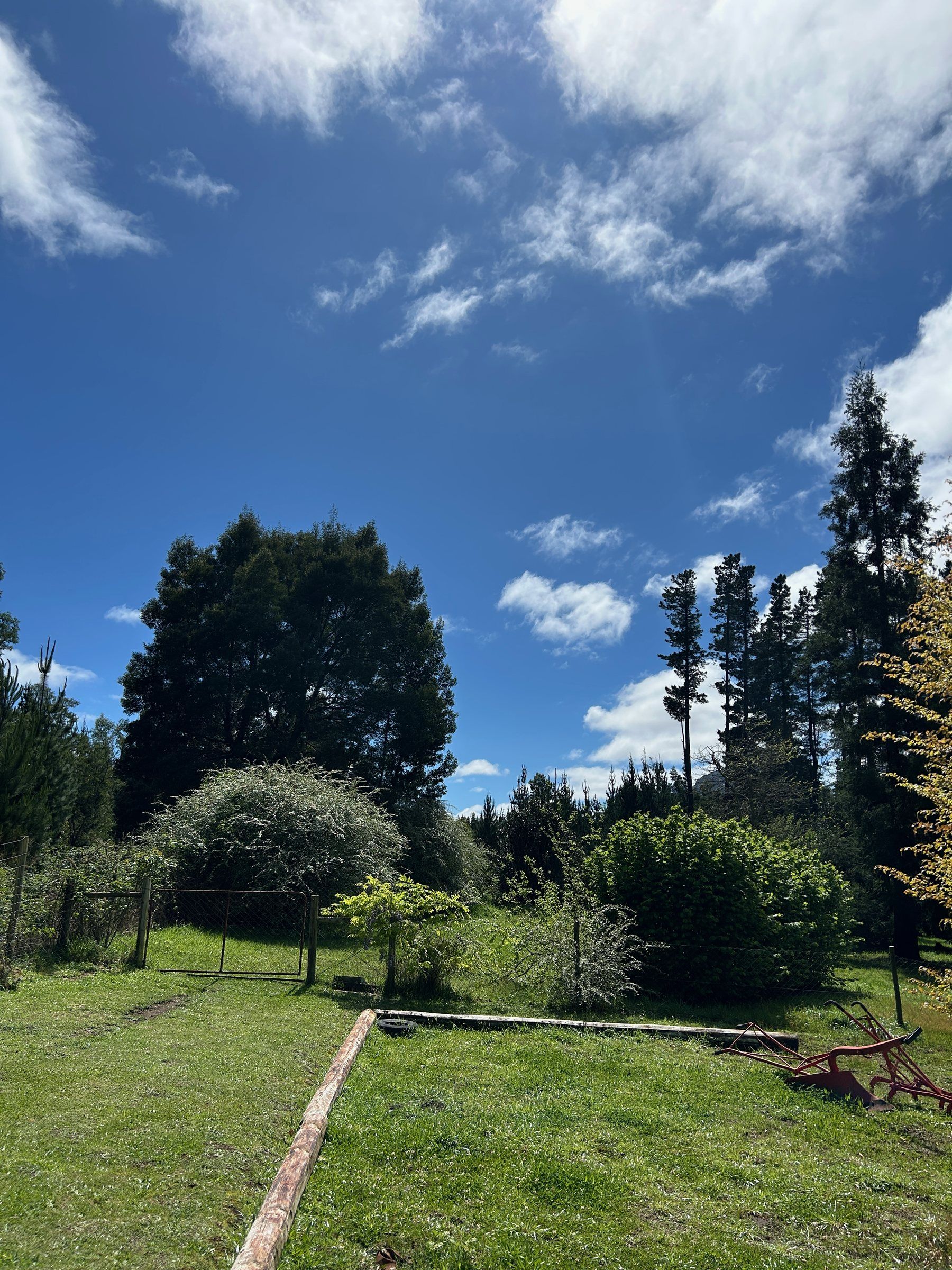 A mown path through the garden under a blue sky